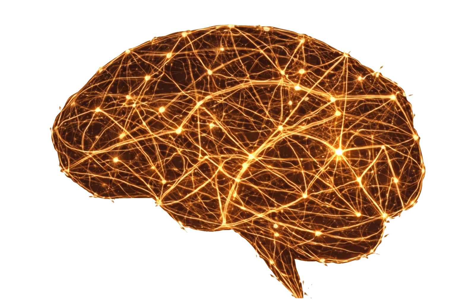 Neural fiber brain